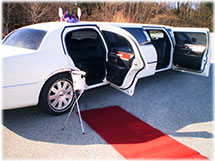 10 Passenger White Limo