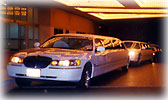 White Limousines